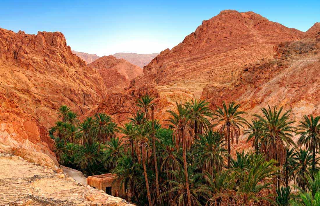 تطاوين: وفد من "اليونسكو" يزور الجهة من أجل إسناد رمز التصنيف الدولي للحديقة الجيولوجية بالجنوب الشرقي