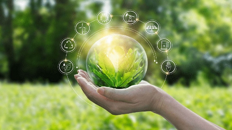 الاستراتيجية الوطنية لتمويل التنوع البيولوجي ستكون جاهزة نهاية 2025