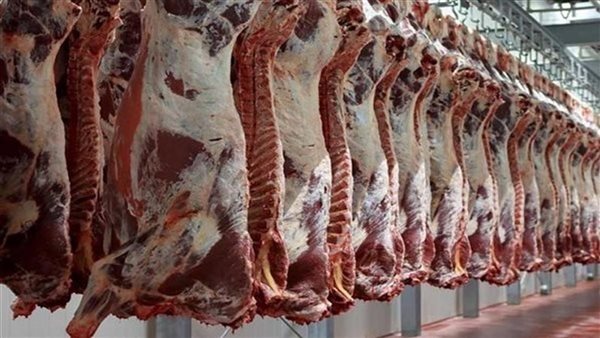 شركة اللّحوم ستوفر كمّيات من لحوم الضّأن والأبقار في إطار تعديل العرض بالسّوق بمناسبة عيد الاضحى