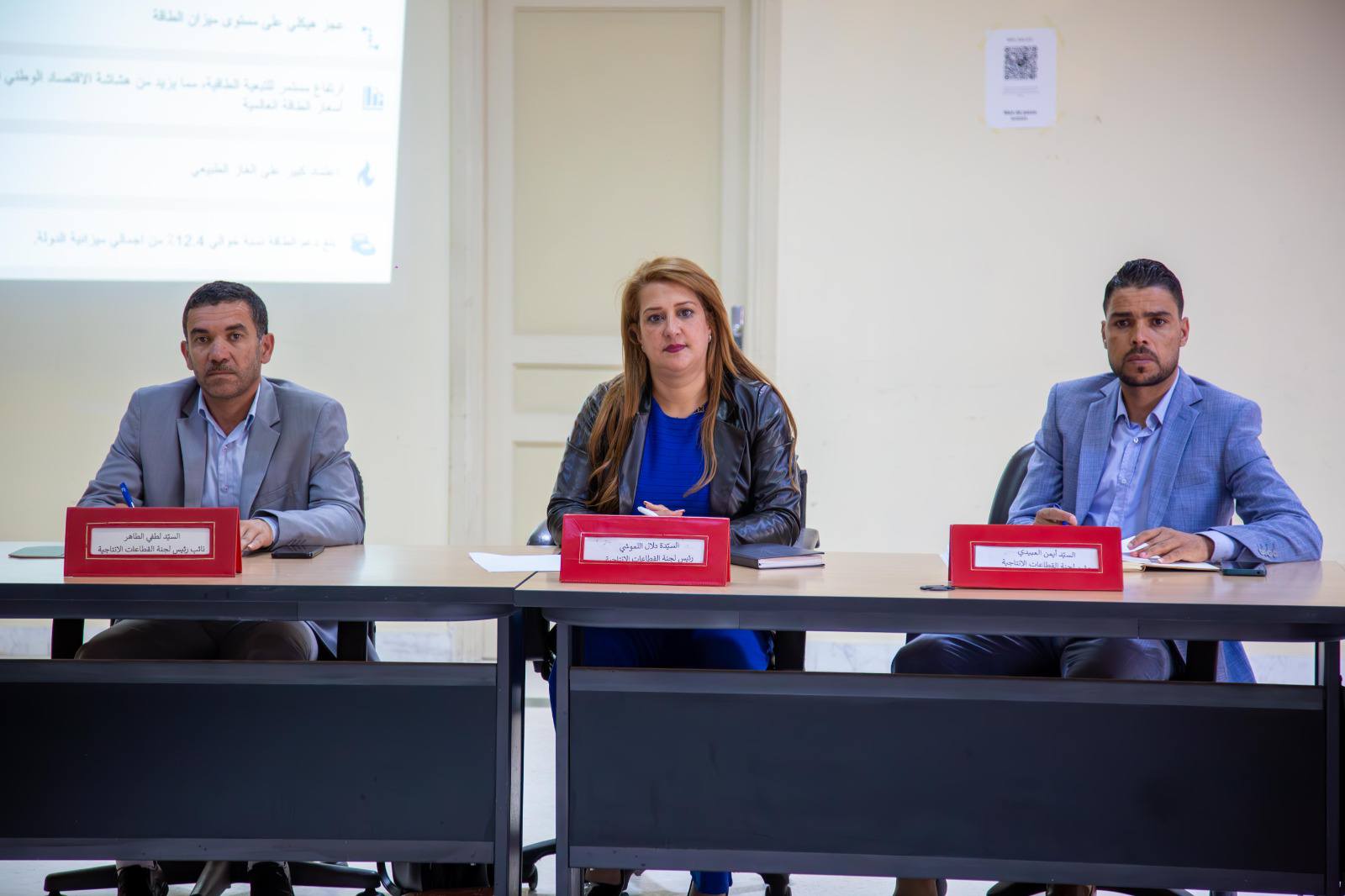 مجلس الجهات والأقاليم : لجنة القطاعات الانتاجية تستمع لمُمثلي الإدارة العامة للكهرباء والانتقال الطاقي