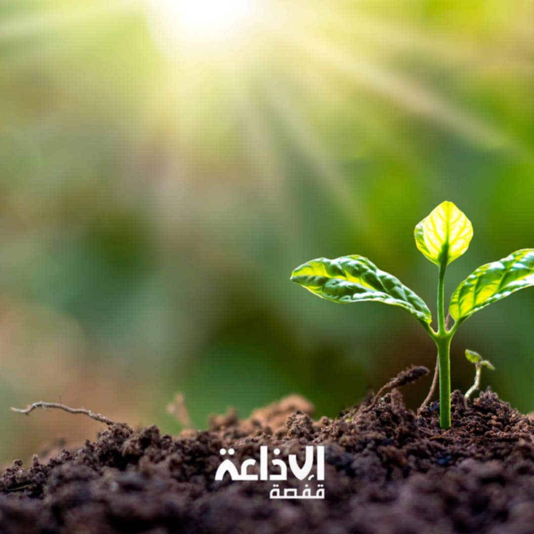 سحب عابرة باغلب الجهات الجمعة