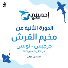 الصندوق العالمي للطبيعة بشمال افريقيا ينظم "مخيم القرش" بجرجيس من 16 الى 19 جوان 2025