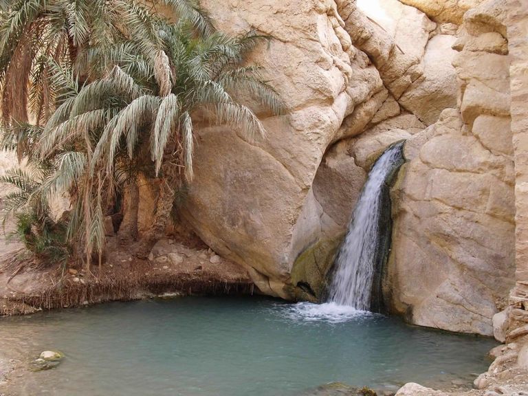 توزر: إطلاق مبادرة شبابية تروّج للمواقع الأثرية والسياحية في الجهة تحت عنوان "توزر بعيون شبابها"