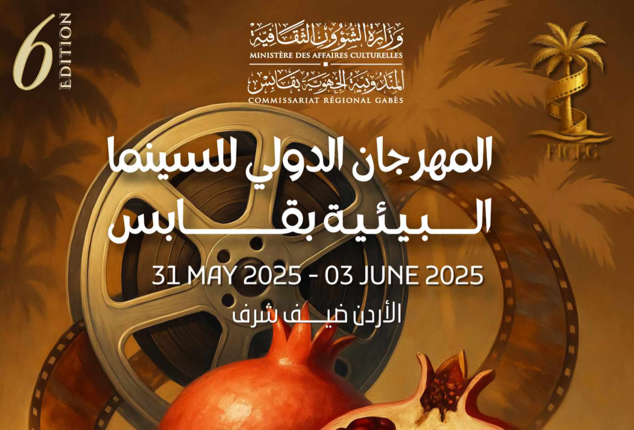 المهرجان الدولي للسينما البيئية بڤابس