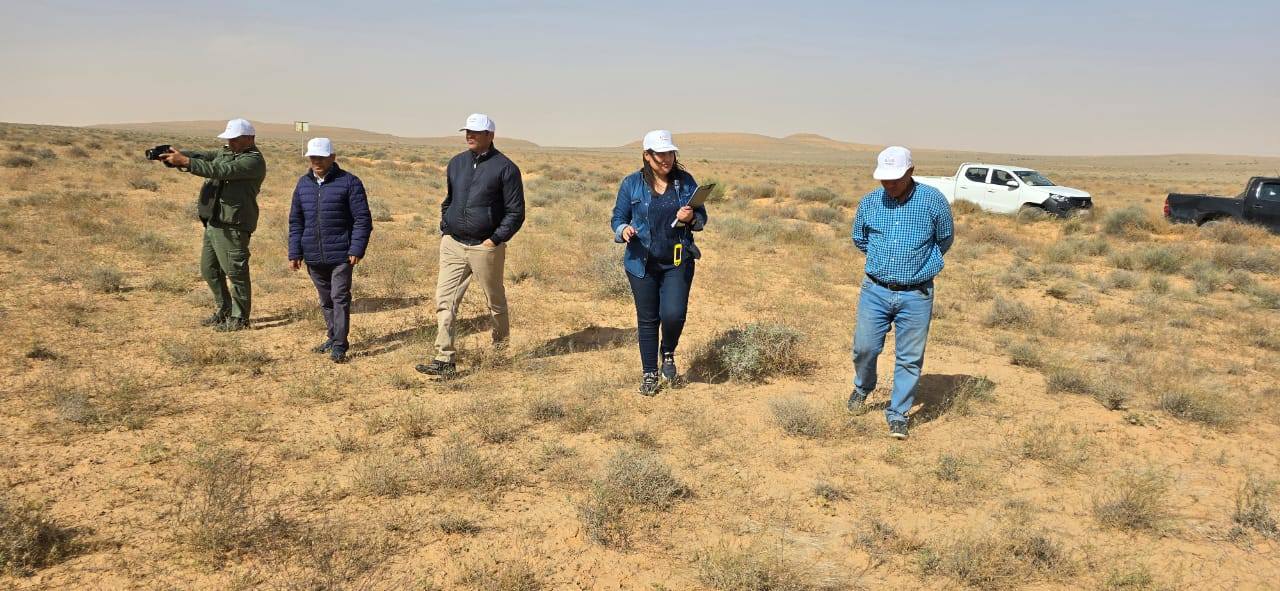 مدنين: فريق من البنك الوطني للجينات يشرع في عمل ميداني لجمع الموارد الجينية الرعوية والعلفية بولايتي مدنين وتطاوين