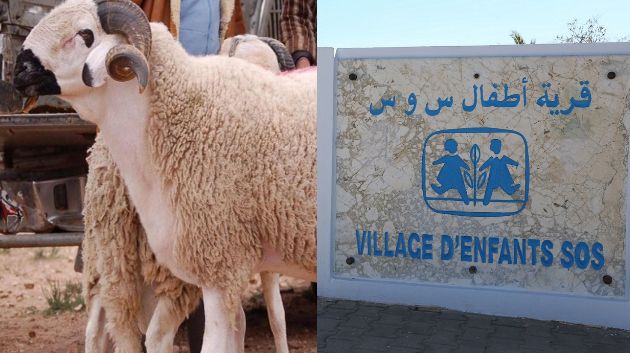 الجمعية التونسية لقرى الأطفال "أس وأ س" تطلق حملة تبرع لشراء أضحية العيد