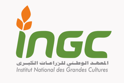 بوسالم: يوم اعلامي لفائدة فلاحي ولايات الشمال الغربي حول الحصاد وتجميع الحبوب