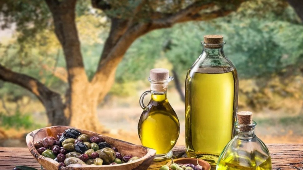 تونس تفوز بالمسابقة الدولية لزيت الزيتون البكر الممتاز في الولايات المتحدة