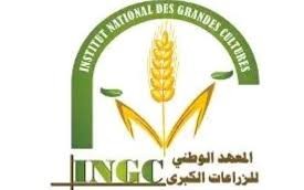 يوم اعلامي ببوسالم لتقديم احدث الابتكارات في مجال الزراعات الكبرى ومياه الري.  
