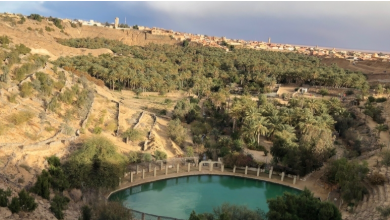 Tunisie – Banque mondiale : une mission évalue le potentiel écotouristique des oasis du Sud