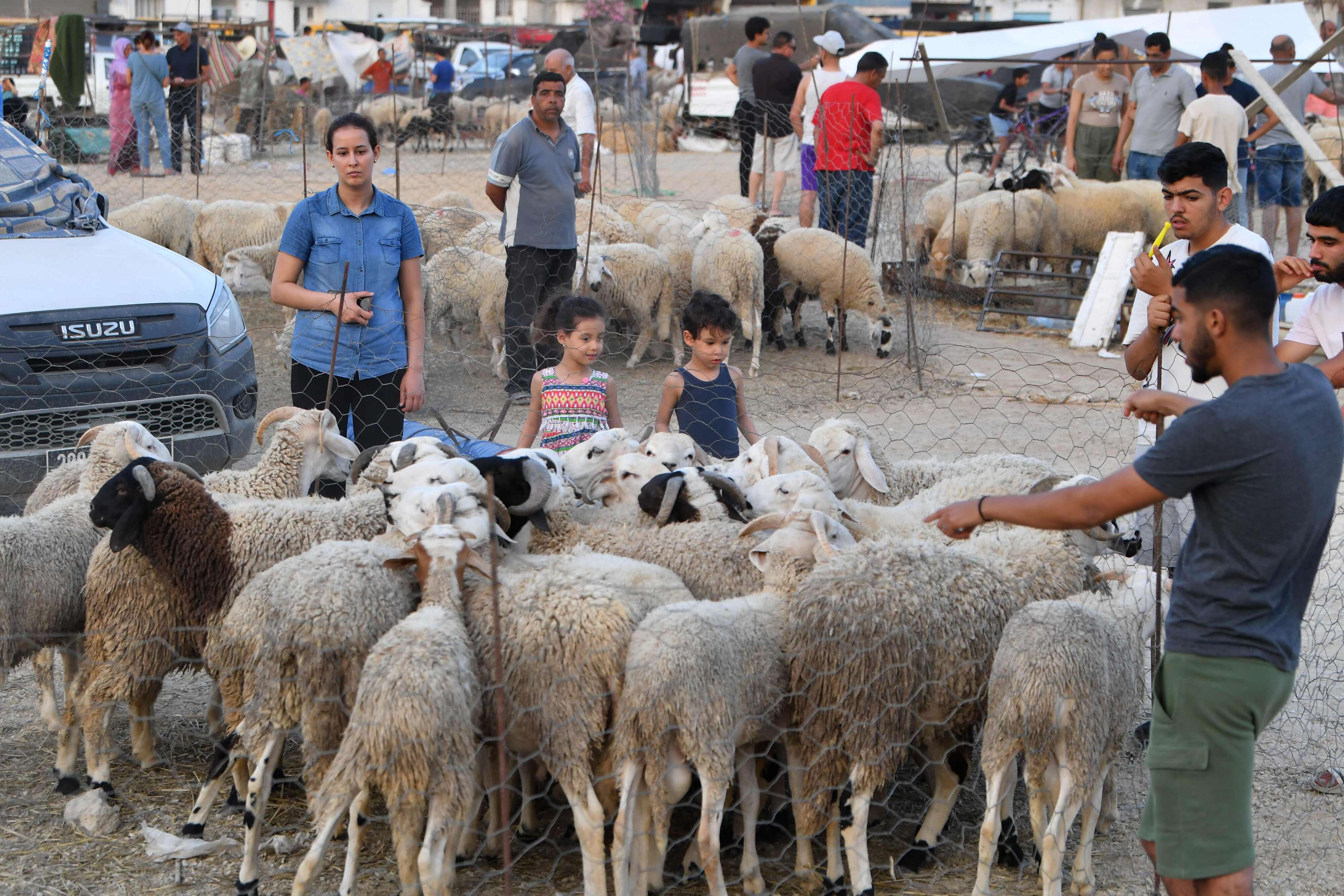 رئاسة الحكومة: يومي عطلة بمناسبة عيد الأضحى