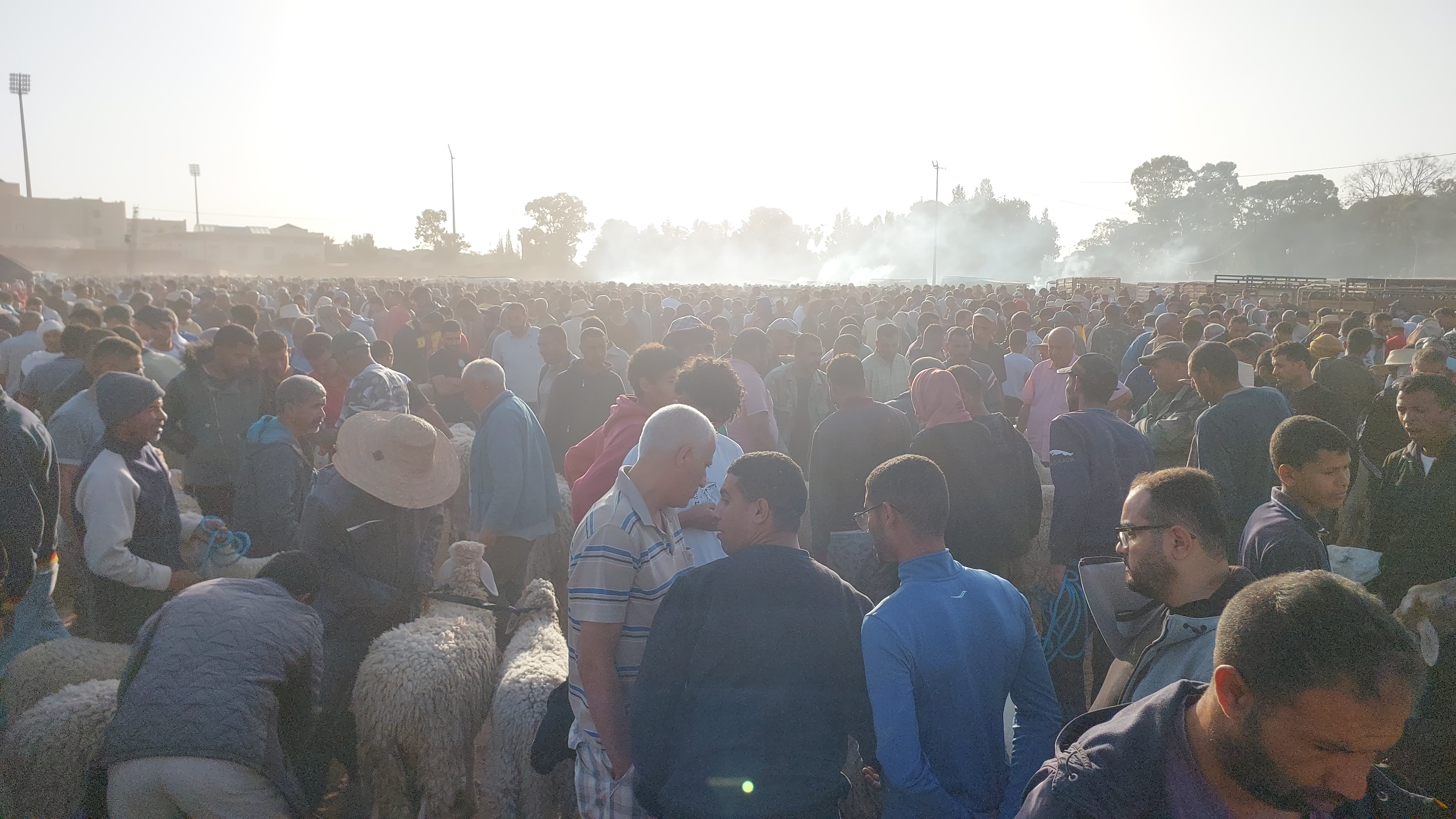 يومان يفصلان عن حلول عيد الاضحى المبارك و تواصل تباين الاراء بين المواطن والفلاح بخصوص اسعار  الاضاحي 
