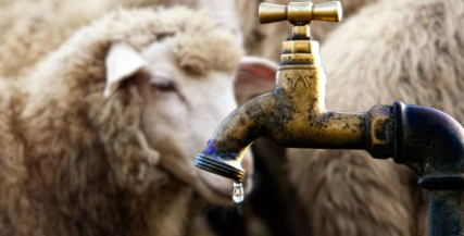 Accès à l'eau : Mesures exceptionnelles pour l’Aïd