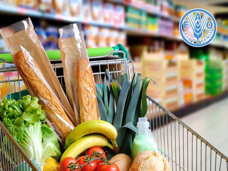 الفاو: تراجع أسعار الغذاء العالمية في ماي