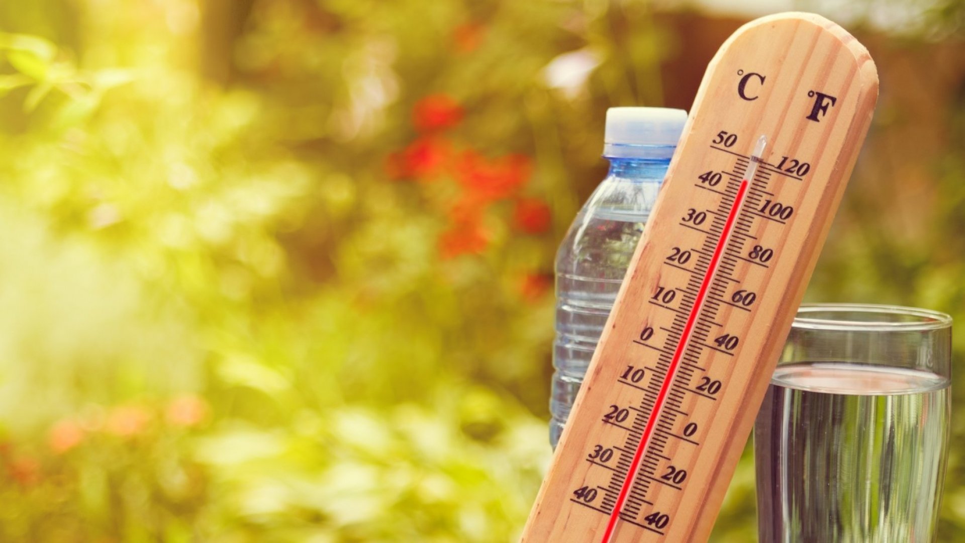اليوم: الحرارة في ارتفاع وتصل إلى 41 درجة