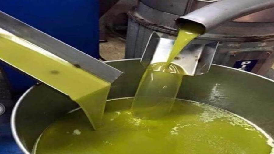زيت الزيتون التونسي يحصد 44 ميدالية ذهبية من مجموع 57 تتويجا خلال مسابقة متخصصة بتركيا