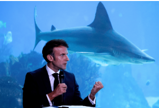 Pollution, surpêche, réchauffement : le sommet mondial des océans s'ouvre à Nice