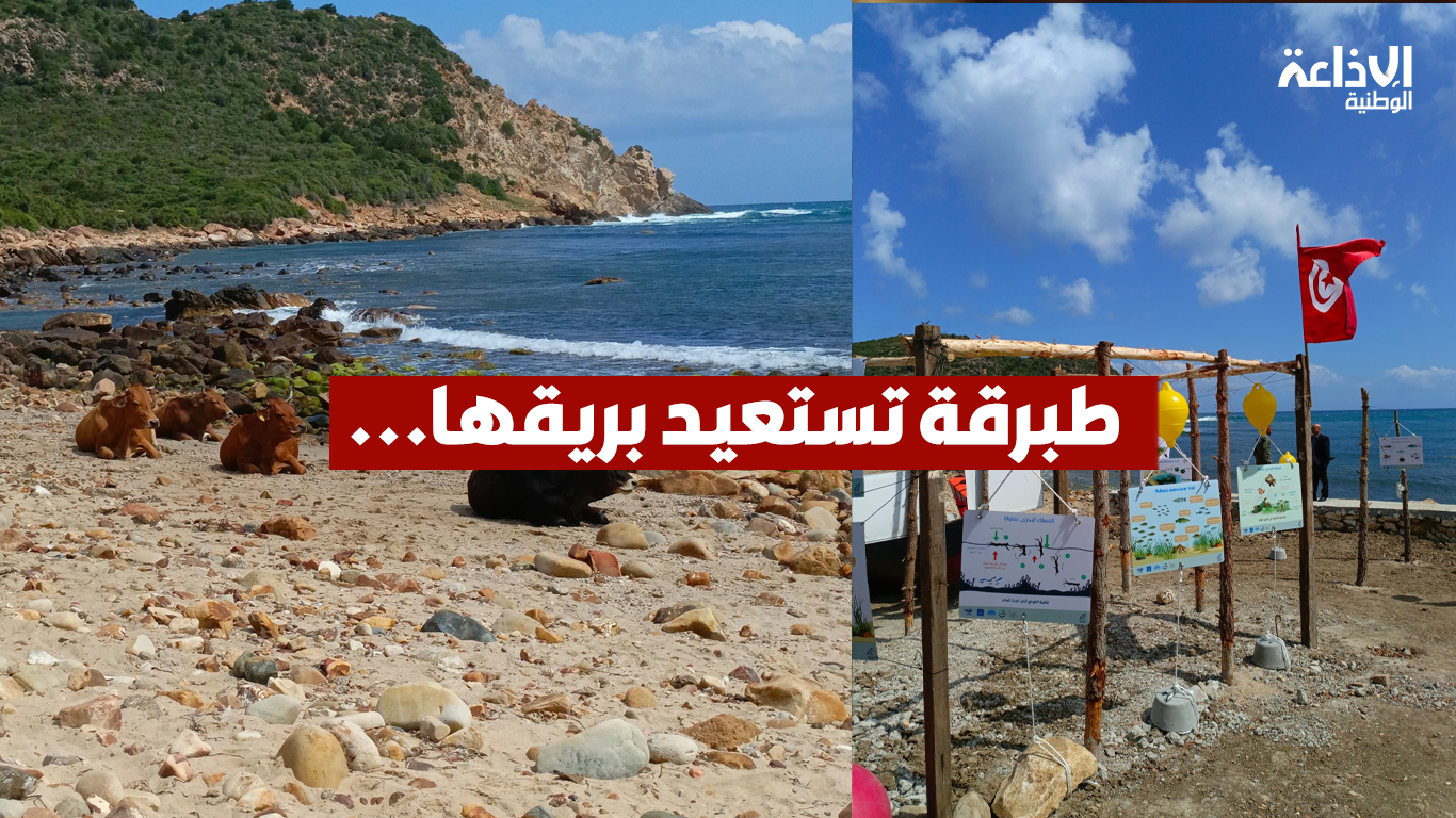 طبرقة تستعيد بريقها...