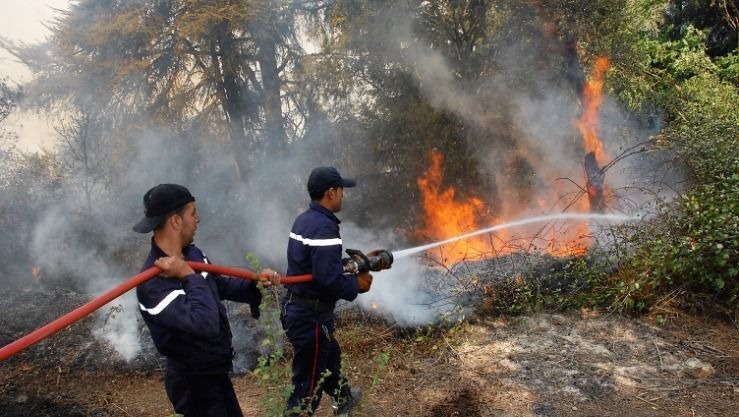 الحماية المدنية : 584 تدخلا منها 139 لإطفاء حرائق خلال الأربع والعشرين ساعة الماضية