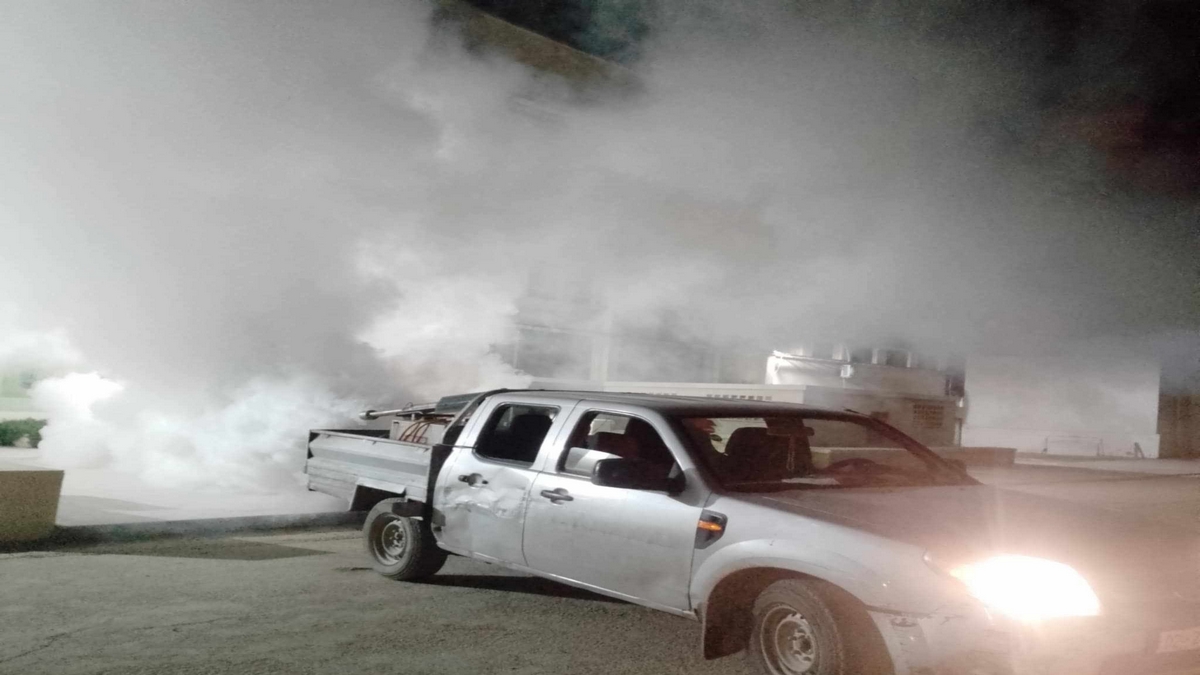 بلدية مدينة تونس: عملية تضبيب حراري لمقاومة الحشرات الطائرة بعديد المناطق التابعة لها