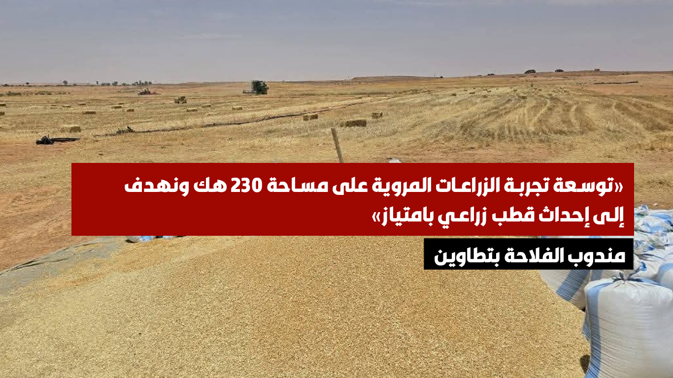 مندوب الفلاحة بتطاوين: توسعة تجربة الزراعات المروية على مساحة 230 هك ونهدف إلى إحداث قطب زراعي بامتياز