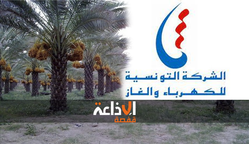 مديونية مجامع التنمية الفلاحية بولاية توزر تجاه الشركة التونسية للكهرباء والغاز تفوق ال 40 مليون دينار