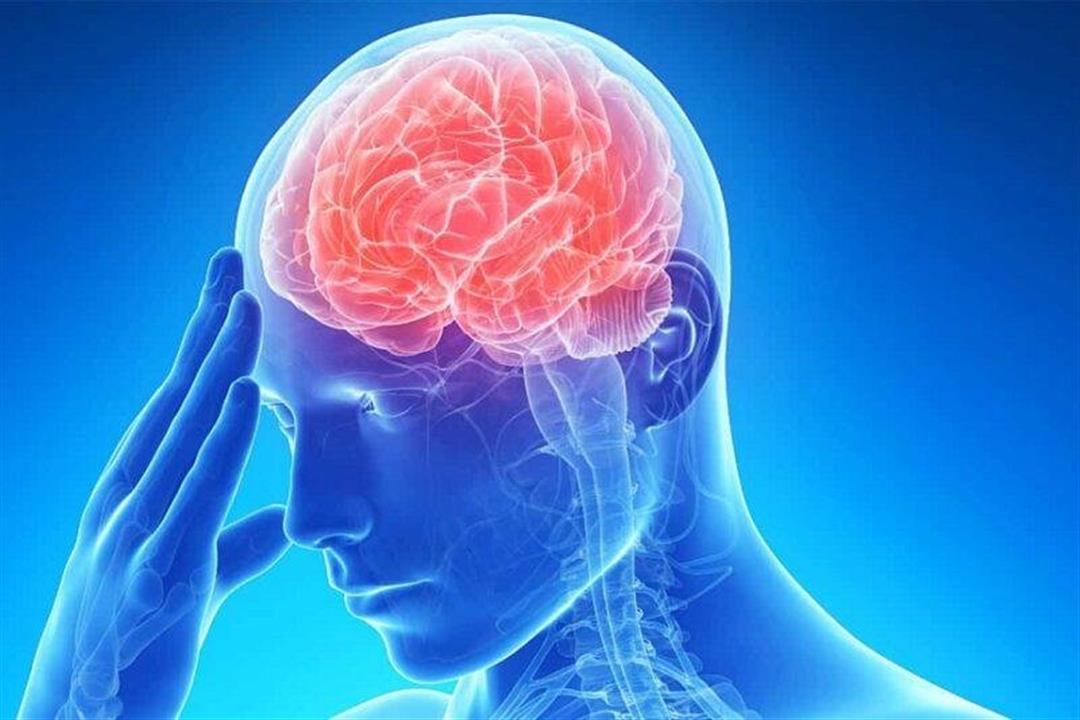 باحثون صينيون يطورون هيدروجيل مبتكرا لعلاج إصابات الدماغ