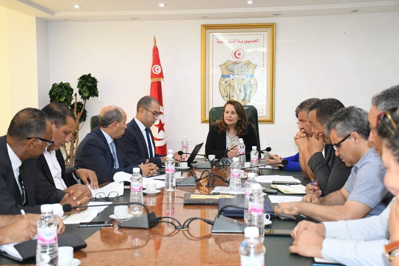 وزيرة الصناعة تؤكد في اول اجتماع للجنة الوزارية لتنفيذ عقد الاهداف للشركة التونسية للكهرباء والغاز اهمية المشروع في تحسين وضعية الشركة