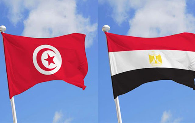 تعاون تونسي مصري لتأمين الأدوية والتجهيزات الطبية