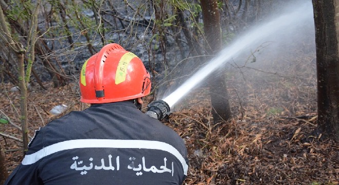 الحماية المدنية: 575 تدخلا منها 115 لإطفاء حرائق خلال الأربع والعشرين ساعة الماضية