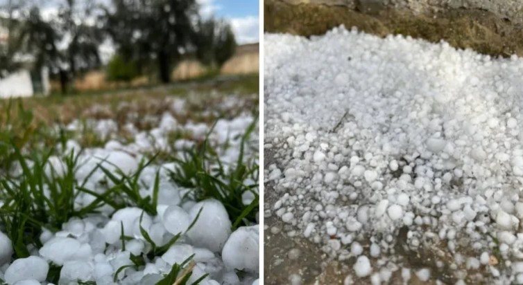 وزير الفلاحة يؤكد أهمية التمشي الجديد للتصرف في صندوق تعويض الأضرار الفلاحيّة النّاجمة عن الجوائح الطبيعيّة