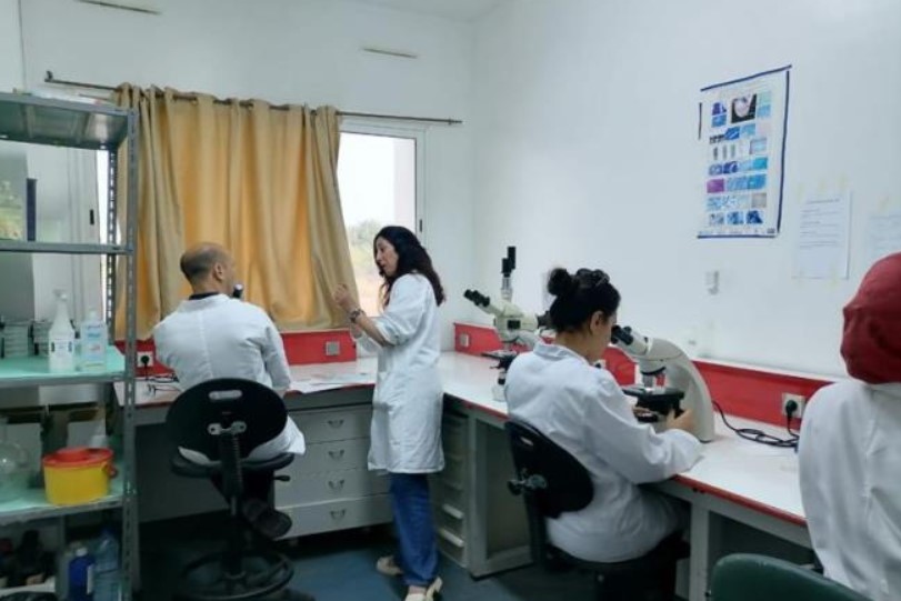 منظمة الصحة العالمية بتونس تُنظم 3 دورات تدريبية لتعزيز قدرات أعوان المخابر في التشخيص المجهري لمرض السل