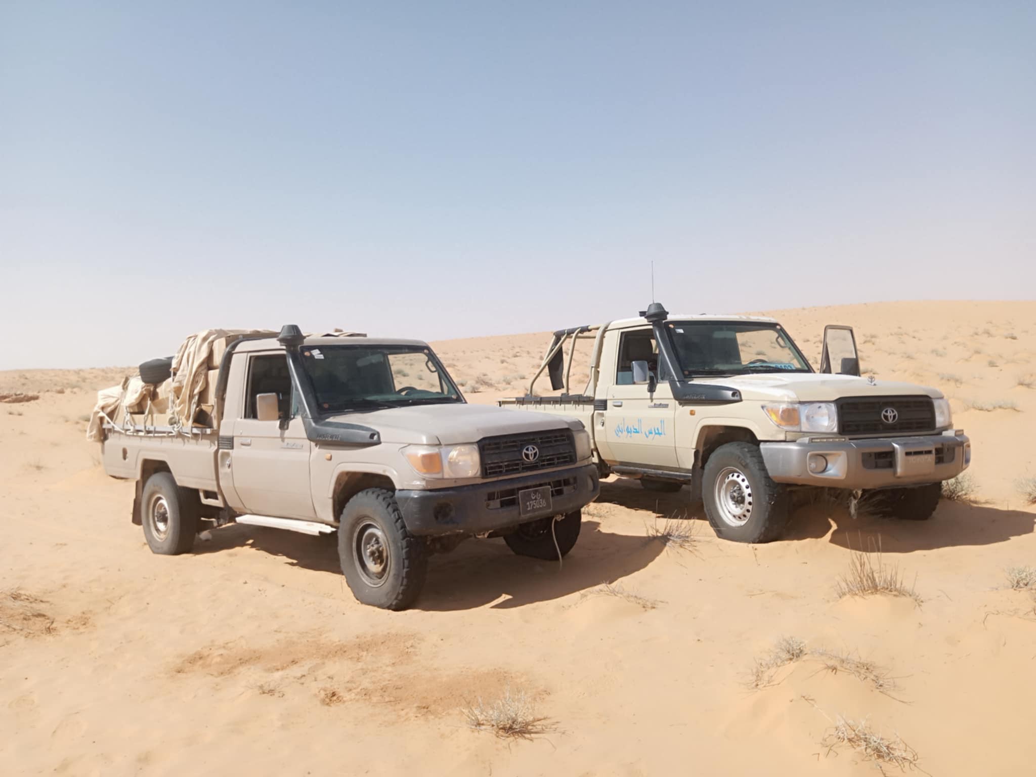 مدنين : مصالح الحرس الديواني بالصمار تحجز كمية من البضائع المهربة بقيمة جملية فاقت 900 ألف دينار