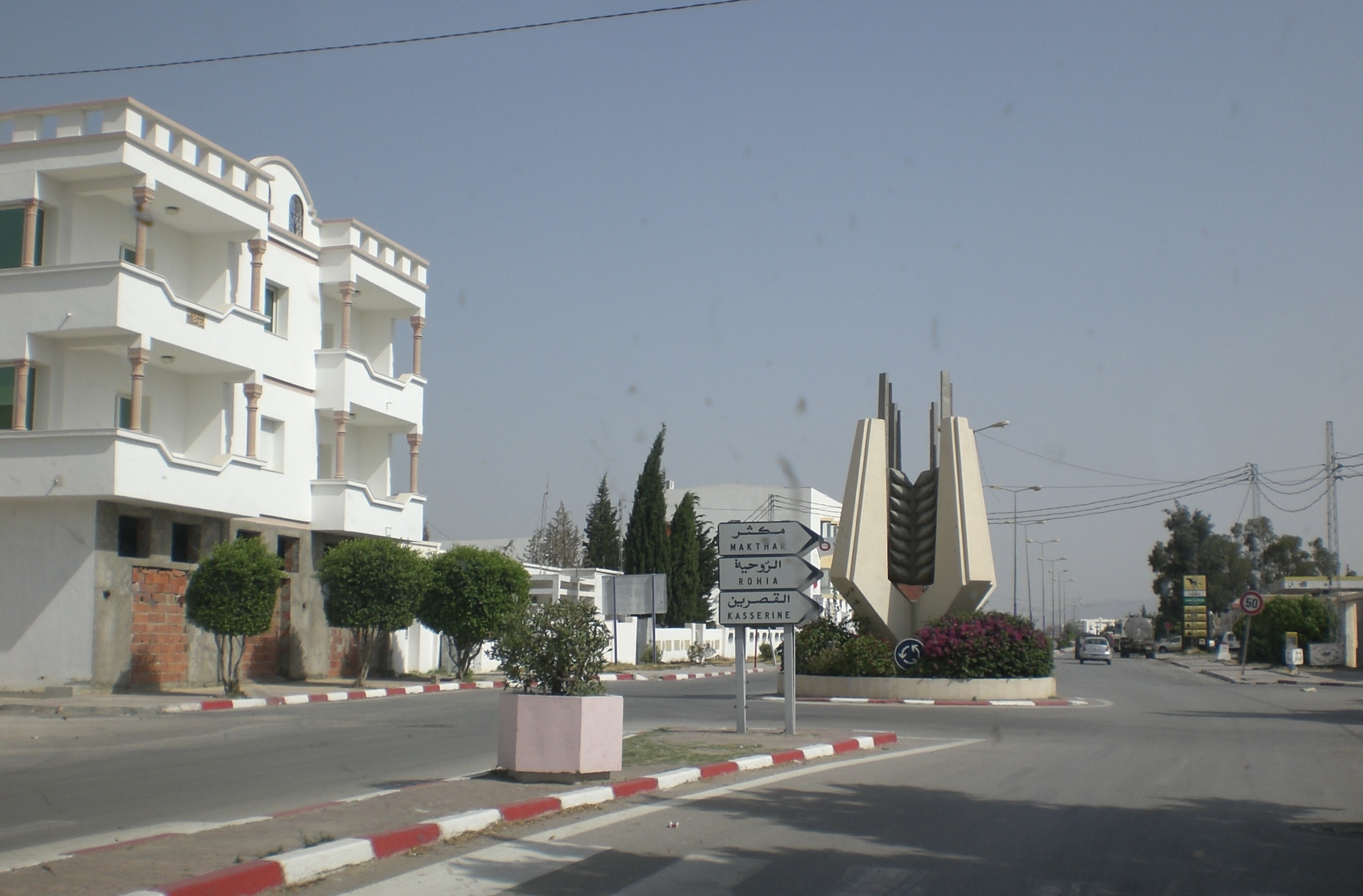 سليانة: اشكاليات عقارية تعطل انجاز عدد من المشاريع التنموية بالجهة