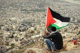 "سلام في فلسطين" إصدار جديد بالفرنسية لمحمد النفطي