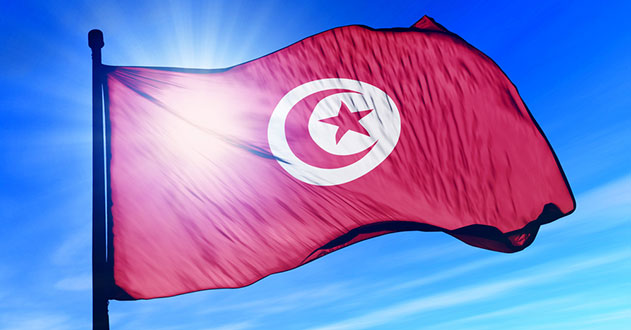 Tunis accueille aujourd'hui, la réunion préparatoire régionale du Sommet arabe du développement social