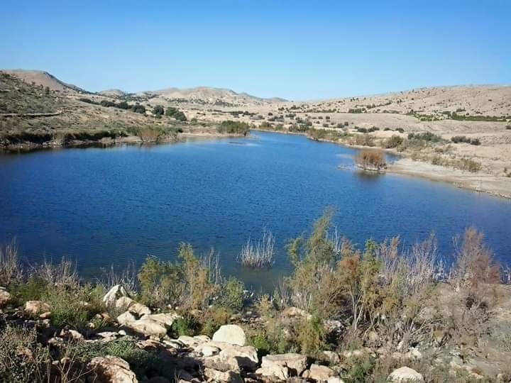  سيدي بوزيد: البحيرة الجبلية الفريو .. متنفس للعائلات رغم النقائص التي تعاني منها 