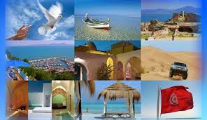 OTIC : Appel à une initiative législative en vue de garantir un meilleur accès des tunisiens au produit touristique local