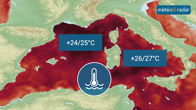 Record alarmant : la Méditerranée atteint 26 °C en juin, les scientifiques tirent la sonnette d’alarme