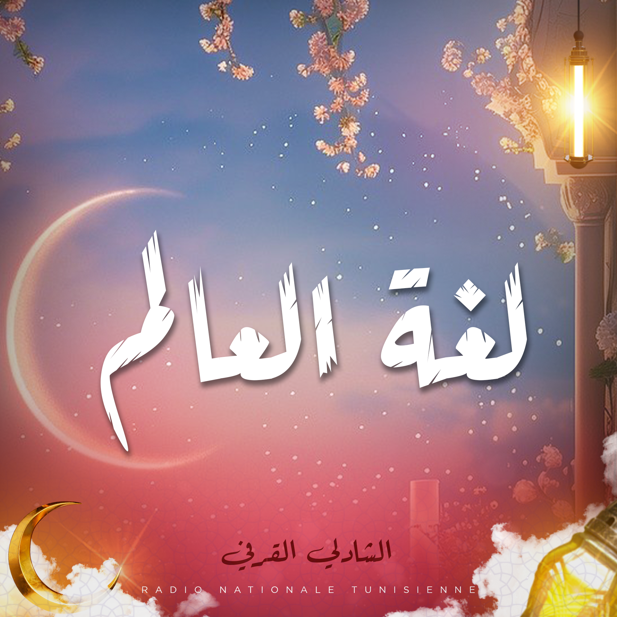  لغة العالم
