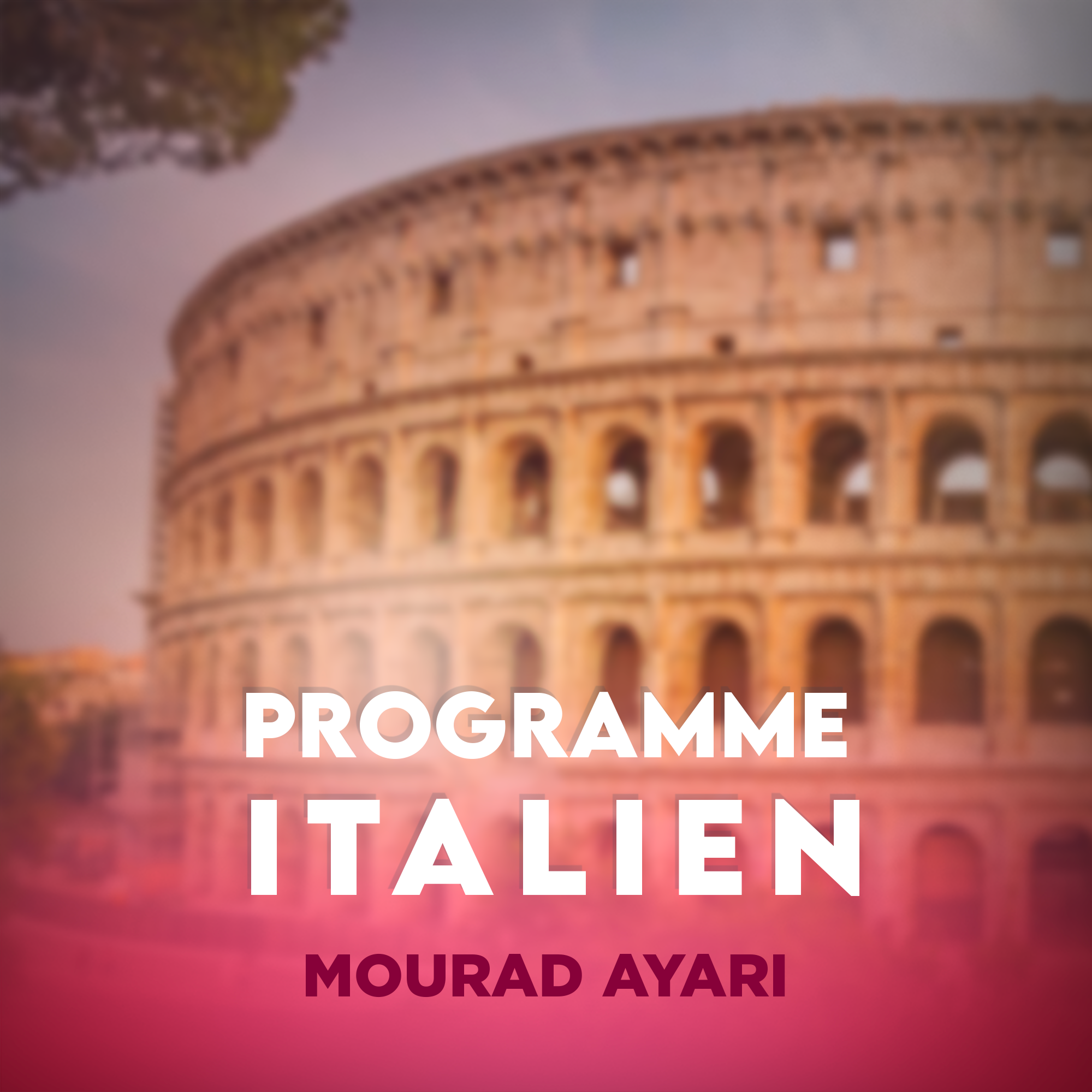 PROGRAMME ITALIEN