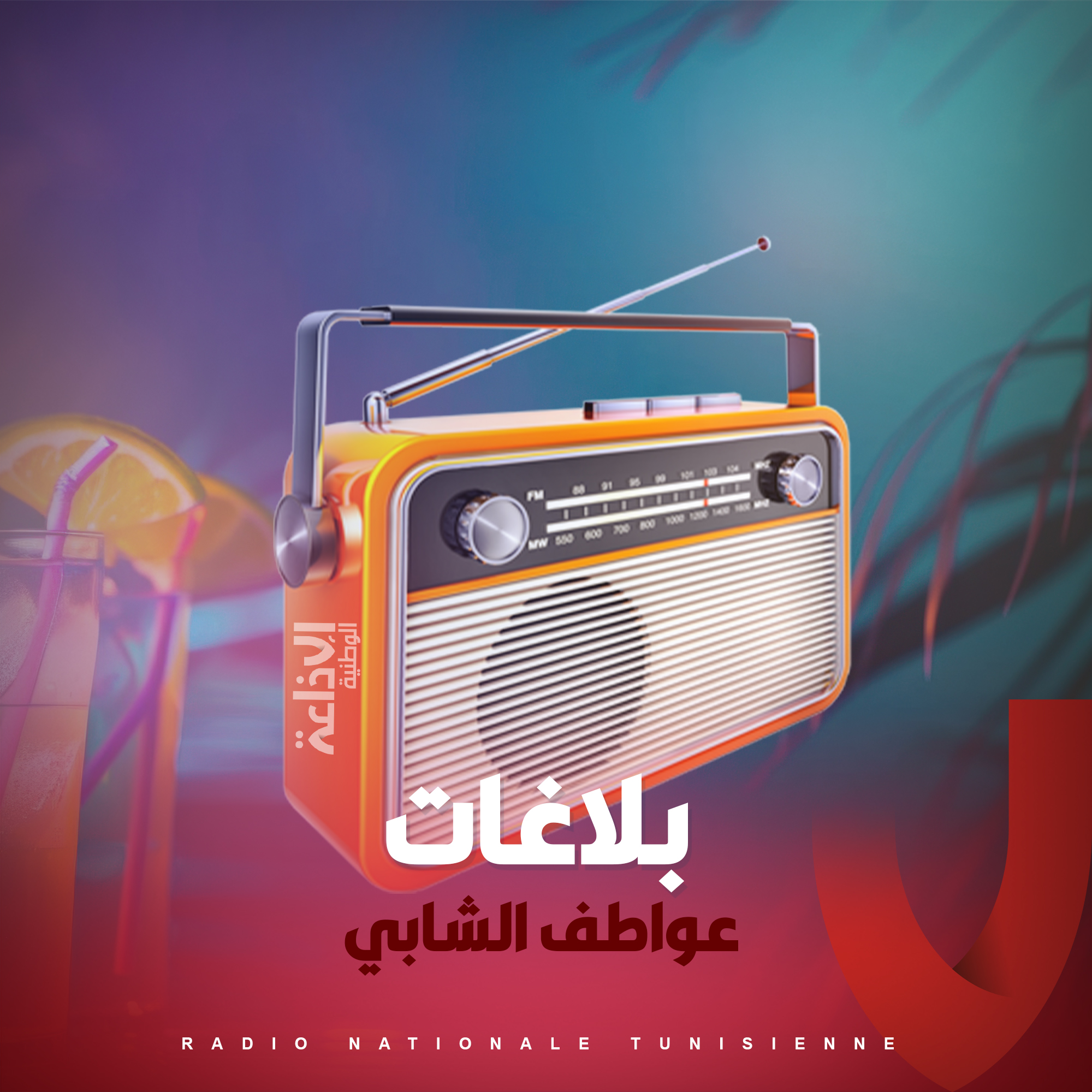 بلاغات